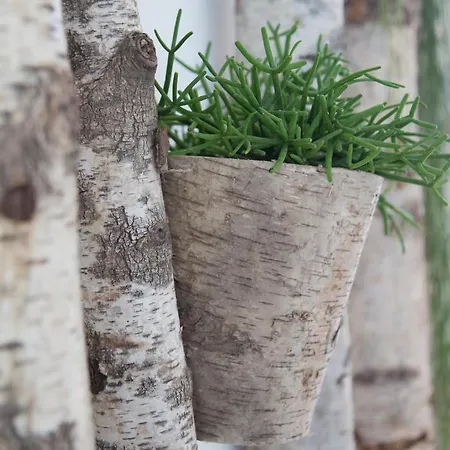 Landvilla Pia Apartment Attendorf