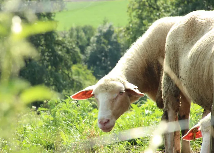 Appartement Landvilla Pia