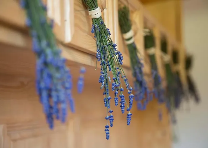 Landvilla Pia Attendorf